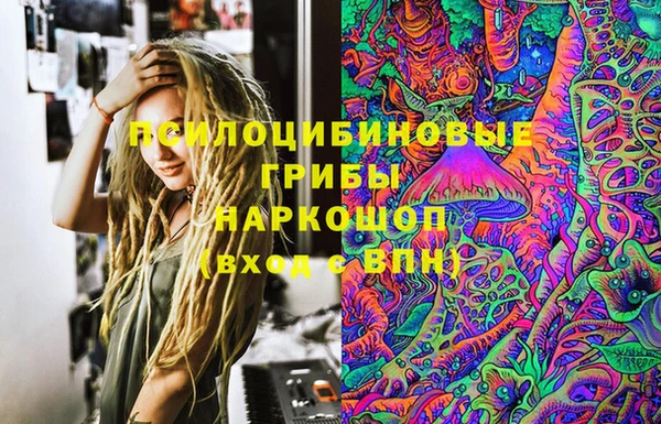 ГАЛЛЮЦИНОГЕННЫЕ ГРИБЫ Липки