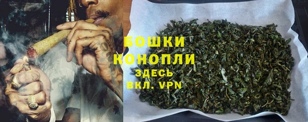 ГАЛЛЮЦИНОГЕННЫЕ ГРИБЫ Липки