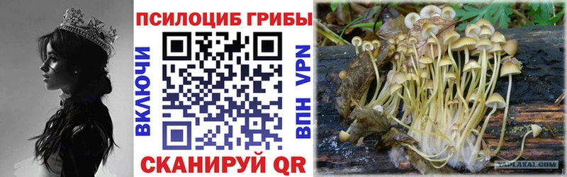 Псилоцибиновые грибы MAGIC MUSHROOMS  Купить где  Соликамск 